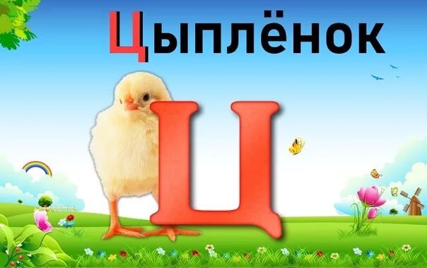 Ое ц. Буква цыпленок. Цыпленок ц буква ц цыпленок. Ц. Буква ц.