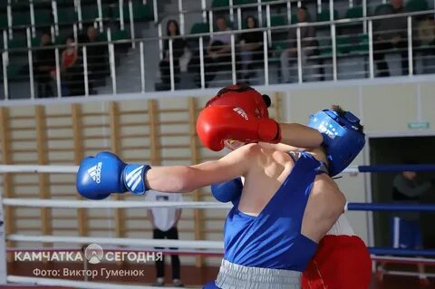 Турнир по боксу память