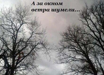 Ветер шелестит