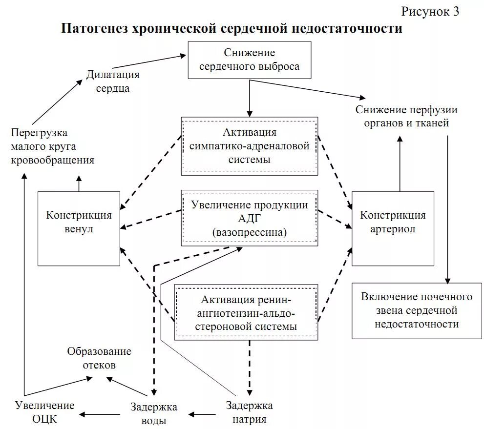 Сердечная недостаточность схема. Схема патогенеза хронической недостаточности сердца. Хроническая сердечная недостаточность патогенез схема. Патогенез ХСН схема. Патогенез хронической сердечной недостаточности.