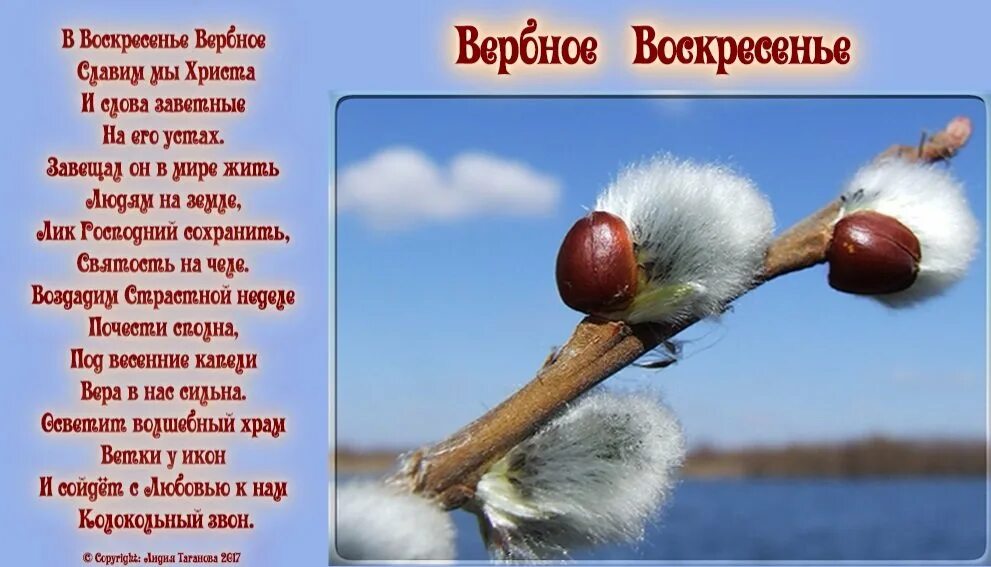 Поздравить с вербным воскресеньем открытки. Поздравление с вербным воскресеньем. Поздравление с вербным воскресеньем. Веточка вербы с вербным воскресеньем. Стишок на вербное воскресенье.