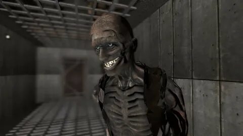 Scp лучший друг