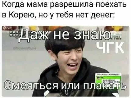 Знай кричит