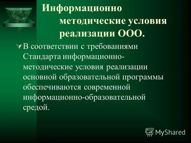 Методические условия это. Информационно-образовательная среда вуза. Условия реализации программы дополнительного образования. Методические предпосылки. Методические условия реализации программы.