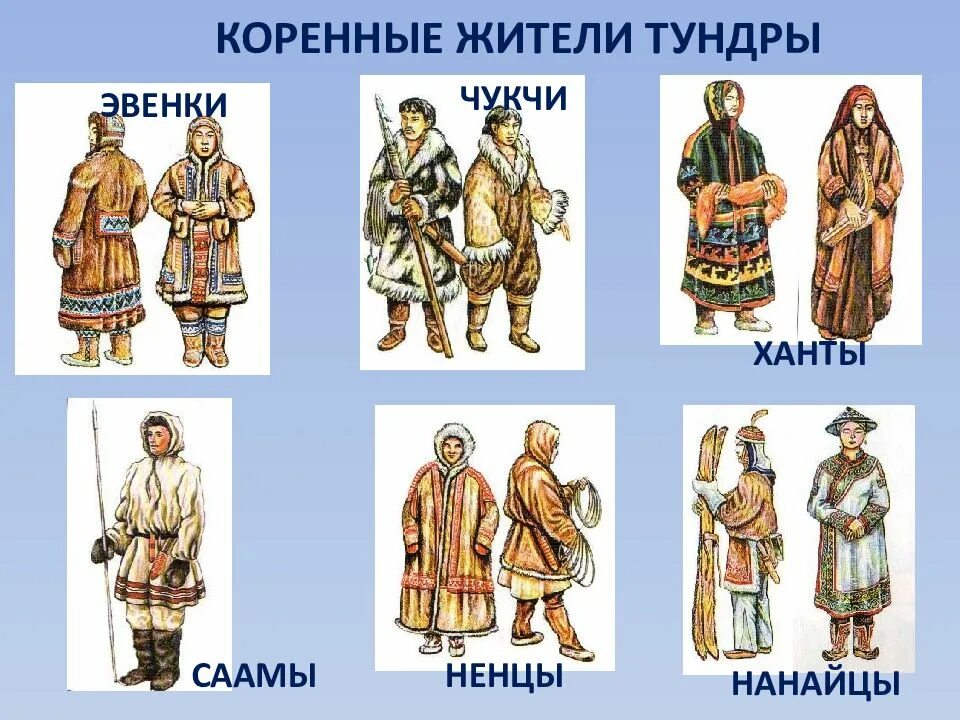 Коренные обитатели тундры. Национальный костюм эвенков. Костюм северных народов название. Одежда коренного населения Сибири. Жители тундры.