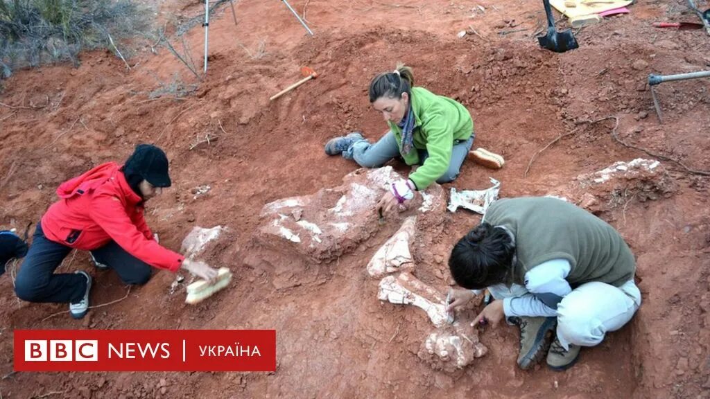 Раскопки палеонтологов динозавров. Раскопки археологов динозавров. Откопали динозавра. Откопали динозавра. Откопали динозавра.