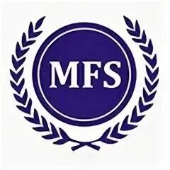 Мфс 6 сайт