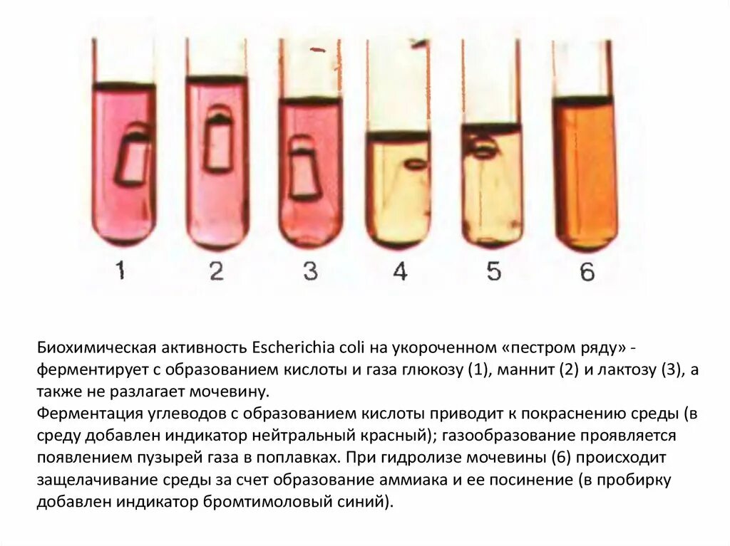 В трех пробирках без подписи находятся