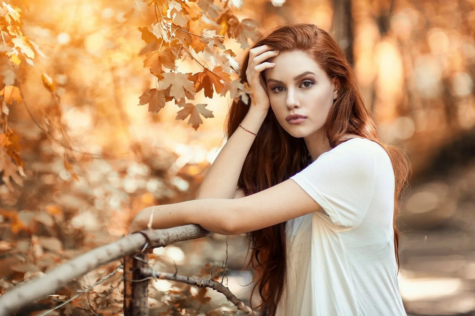 Профессиональное фото женщин. Alessandro di cicco рыжая. елизавета паршина модель. портретная фотосессия на природе. девушка осень.