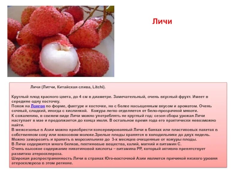 Почему у многих кустарников плоды красного цвета