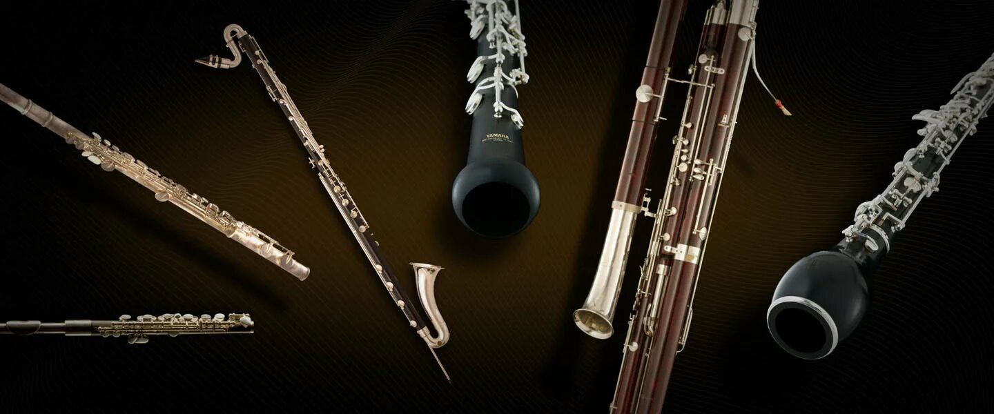 Кларнет и фагот. Гобой кларнет Фагот. Флейта гобой кларнет Фагот. Woodwind and Brass instruments разница. Деревянные духовые музыкальные инструменты.