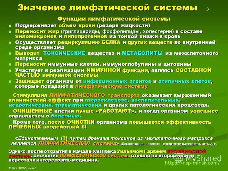 Какого значение лимфатической системы. Значение лимфатической системы и лимфообразования. Механизмы лимфообразования и лимфооттока. Какого значение лимфатической системы. Основные функции лимфатической системы.
