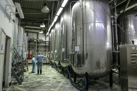 Производство игристых