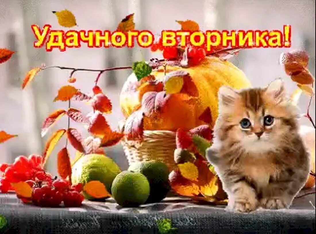 Доброе утро вторника анимация. Удачного осеннего вторника. открытка удачного в орника. открытки с добрым утром вторника осенние. счастливого осеннего вторника.