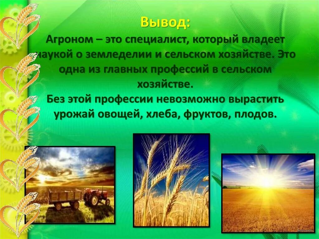 Чем агроном полезен обществу. Агроном профессия. Профессия агроном описание профессии. Профессия агроном презентация. Профессия агроном описание для детей.