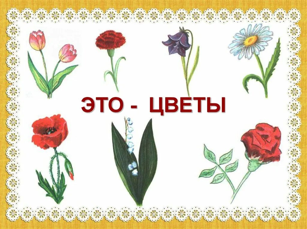 Обобщающие слова для дошкольников. Обобщающие понятия цветы. Назови одним словом цветы