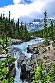 Вертикальное фото пейзажа