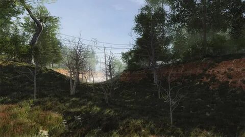 Forest pack 2023 max