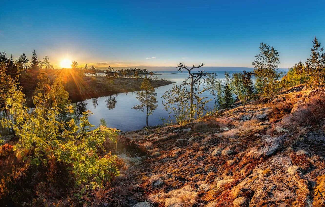 Ненецкий автономный округ осень природа. Ладожское озеро Кольский полуостров. Тундра Ненецкий автономный округ. Река Хлебная Кольский полуостров.