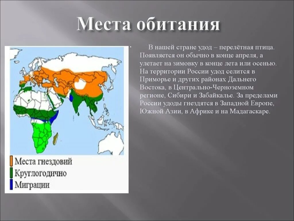 Место обитания 6 букв