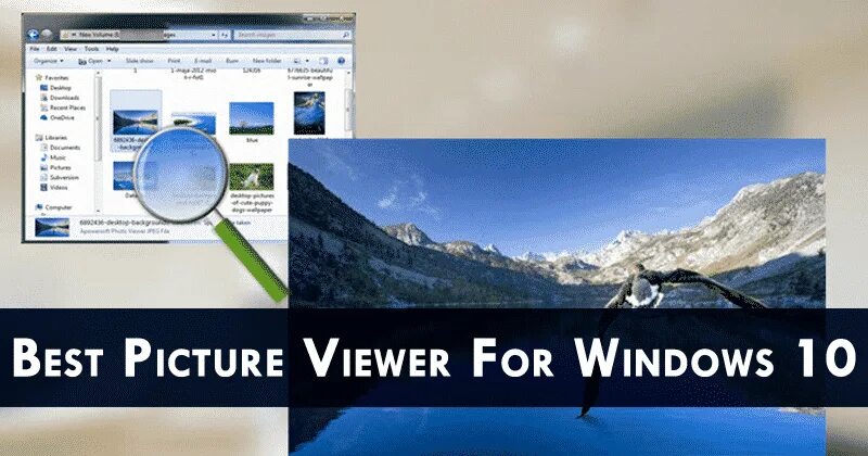 Win view. Windows photo viewer. аналог windows picture viewer. fs viewer win 10. аналог windows 10 picture viewer.