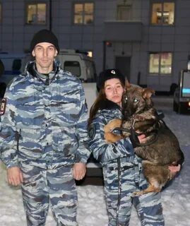 Кинолог тюмень