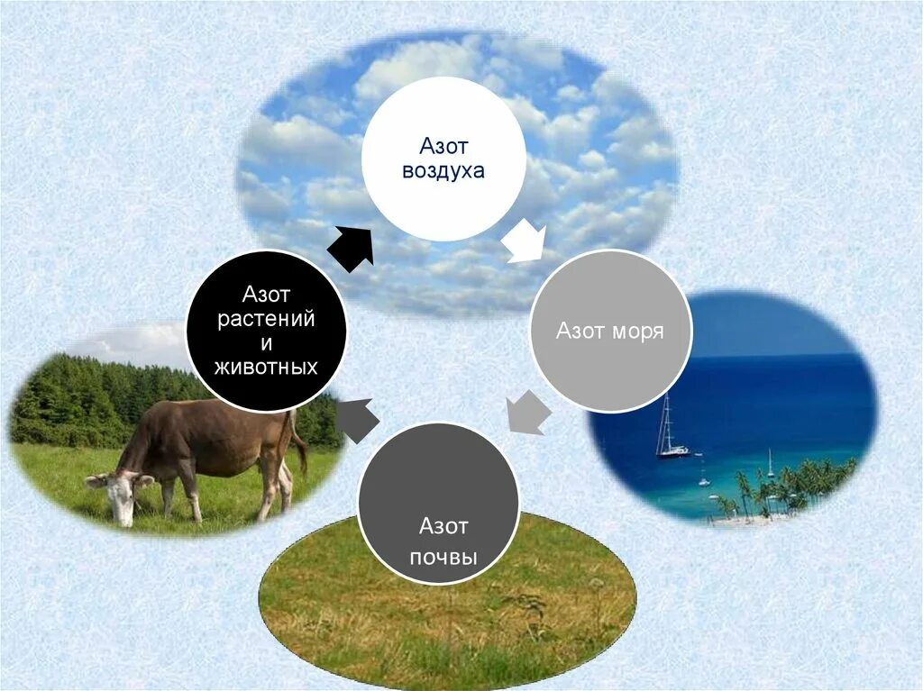 Почвы воздух продукты питания