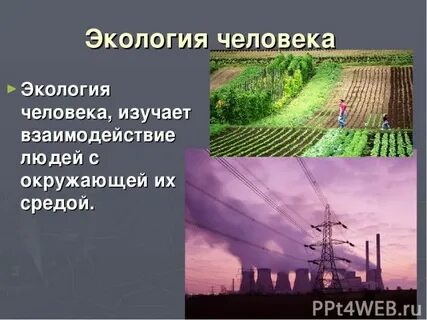Сообщение на тему человек и окружающая среда