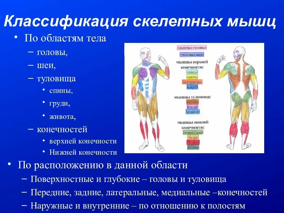 Располагаться значение