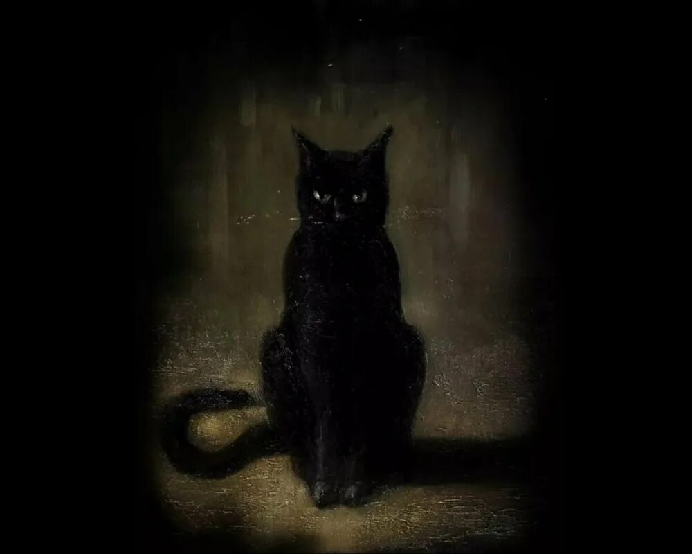 Кошка в темной комнате. Черная кошка. серьезный черный кот. картина. дух чёрной кошки.