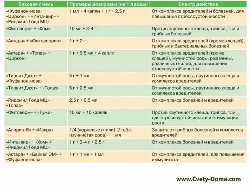 Что такое баковая смесь для опрыскивания растений. Баковая смесь от болезней и вредителей. Баковые смеси для обработки сада от вредителей. Баковые смеси для комнатных растений.