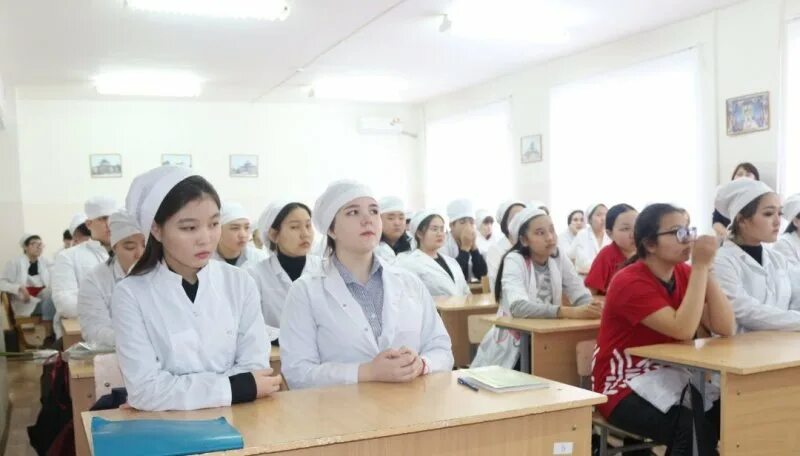 медицинский колледж рубцовск. медколледж элиста директор. рубцовский медицинский колледж, ул. медколледж элиста. медицинский колледж имени тамары хахлыновой.