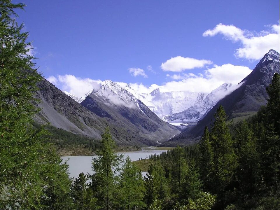 алтайский край язык. современный алтайский язык. катунский заповедник оз. культура алтая презентация. алтайский край язык.