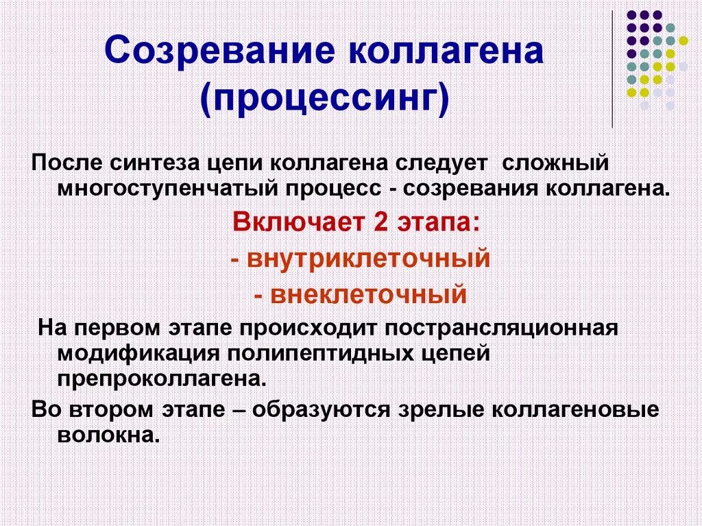 Этапы созревания коллагена. Этапы синтеза и созревания коллагена. Этапы синтеза и созревания коллагена биохимия. Этапы биосинтеза и созревания коллагена.