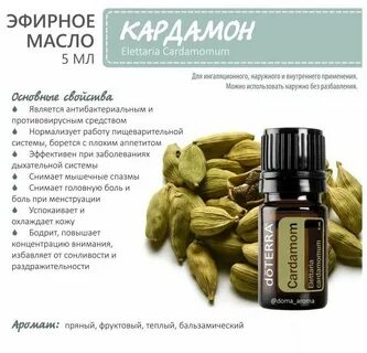 Масло описание
