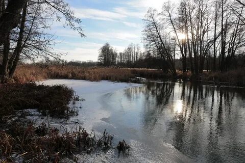 Погода в усманке