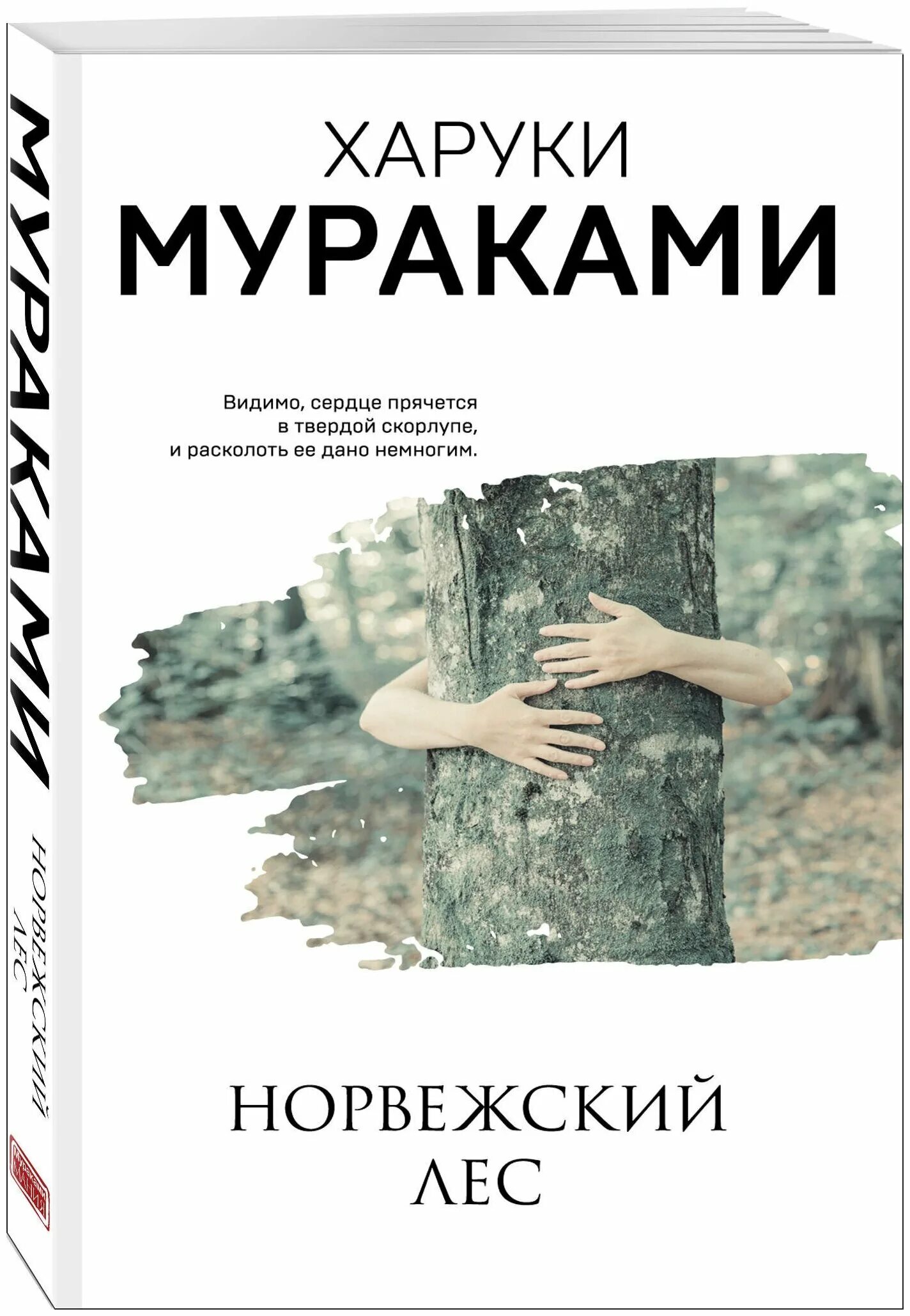 норвежский лес харуки мураками книга. книга мураками норвежский лес. читать книгу норвежский лес. харуки мураками норвежский лес. харуки мураками норвежский лес.