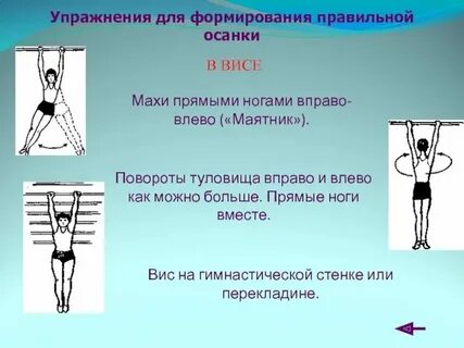 На какой стенке поднимается