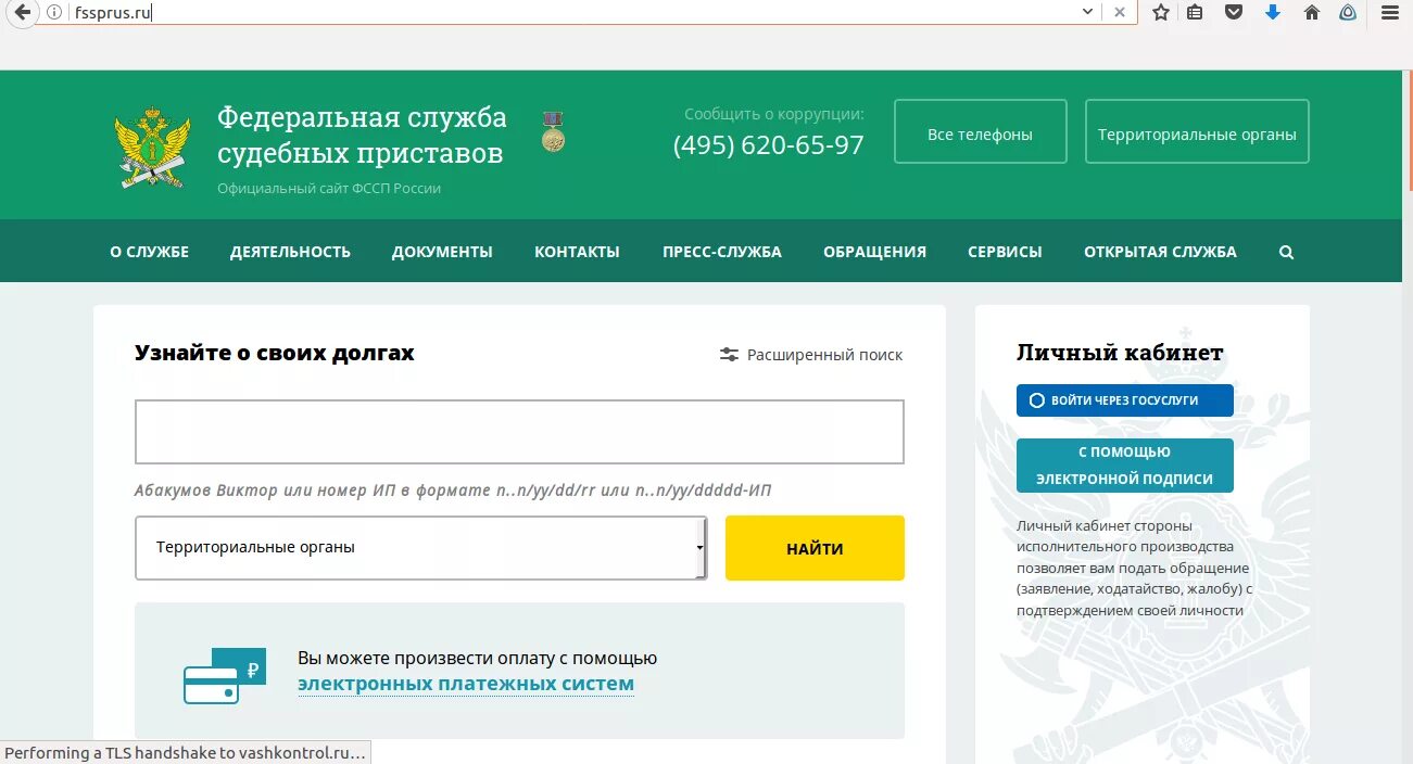 Судебные приставы физ лицо
