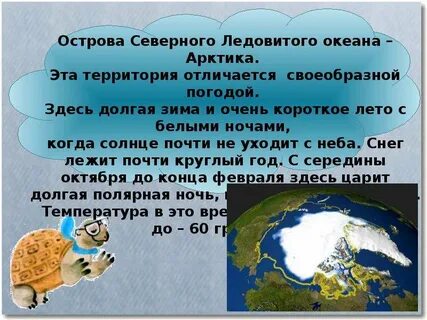 Природная зона островов северного ледовитого океана