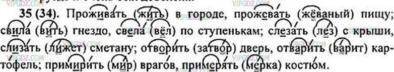 Свила гнездо проверочное слово. Задания по русскому языку 5 класс. Проверочное слово к слову свила гнёздышко. Проживать в городе проверочное слово.