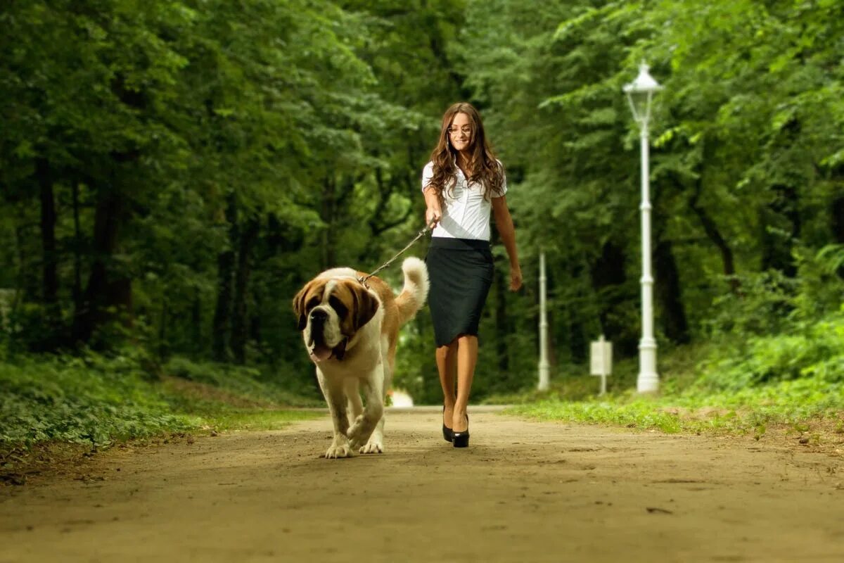 Walking pet. Прогулка с собакой. Прогулка с собакой в парке. Фотосессия прогулка с собакой. Человек с собакой.