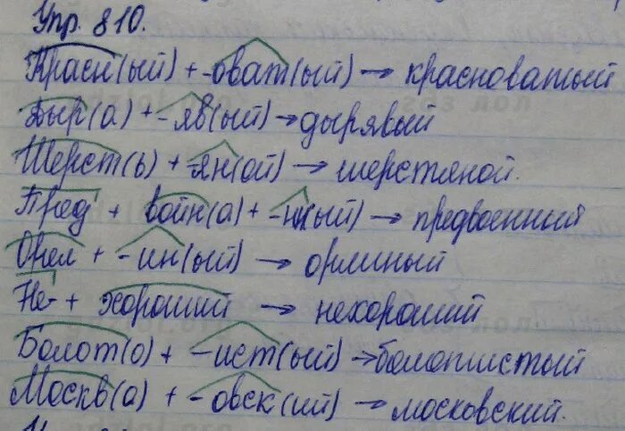 Русский язык 5 класс разумовская 708. Разумовская 5 класс. Упражнение 810 по русскому языку 5 класс. Тренажёр по русскому языку 5 класс Разумовская. Русский язык 5 класс Разумовская упражнение 697.