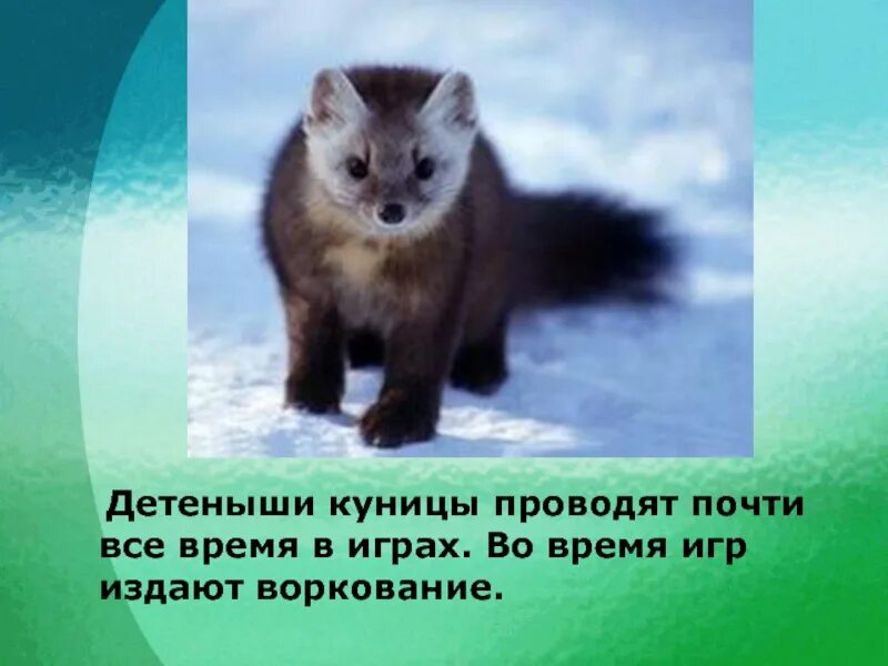 Будет проводить почти все