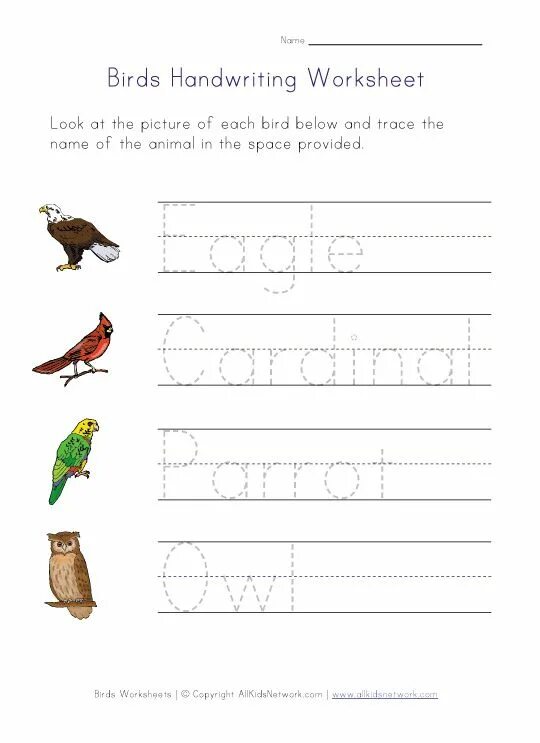 Birds задание. Birds Worksheets. Птицы на английском языке задания. Птицы на английском языке для детей задания. Птицы на английском упражнения.