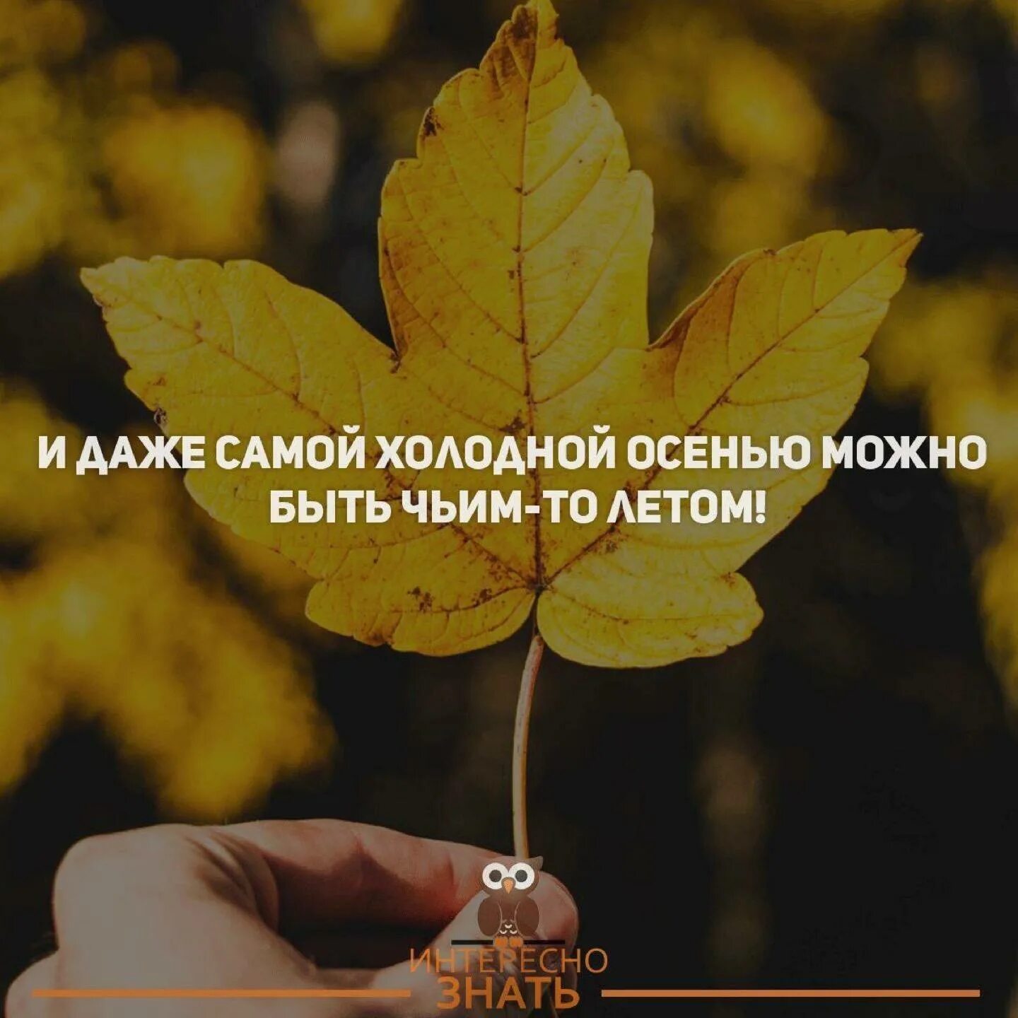 Будет холодно даже в самую. И даже осенью можно быть. какой бы холодной не была осень. даже осенью можно быть чьей-то весной. и в ноябре можно быть чьей-то весной.