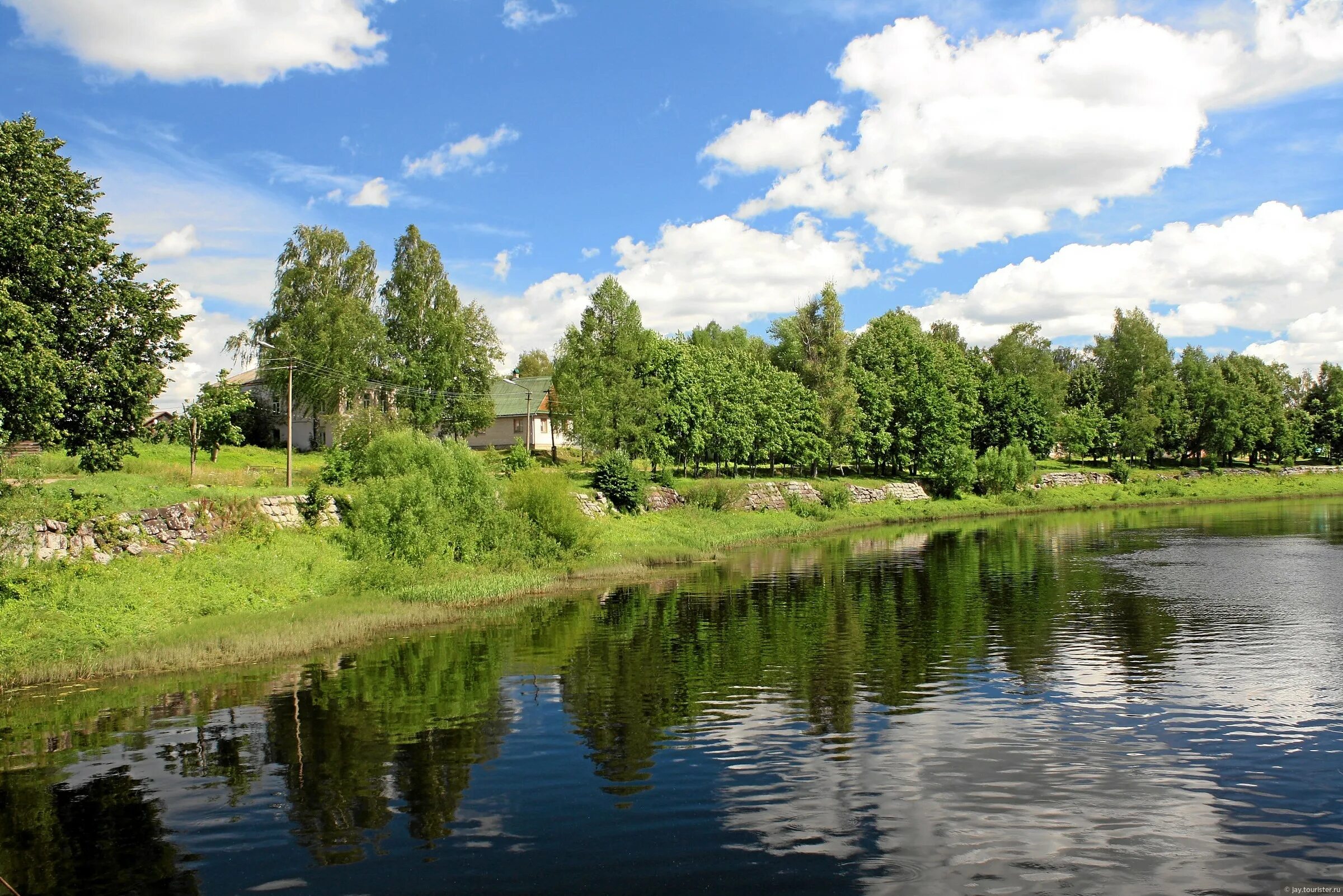 Река мста новгородская область. Река Мста Боровичи. Горная Мста Боровичи. Река Березайка Новгородская область.