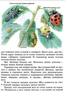 Читать рассказ странички жизни