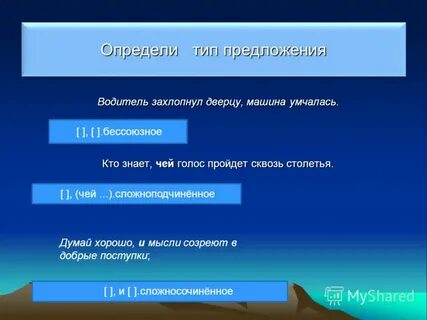 Водитель предложения