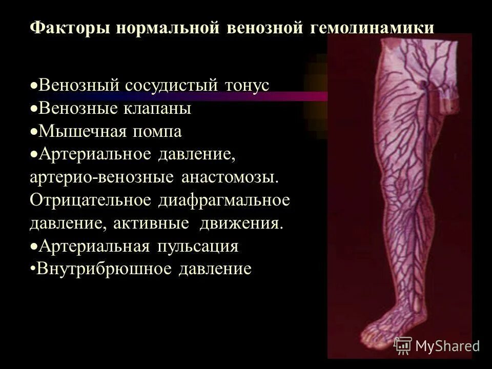 Острый тромбоз мкб. Острый флеботромбоз тромбофлебит презентация. Анатомо физиологические особенности вен нижних конечностей.